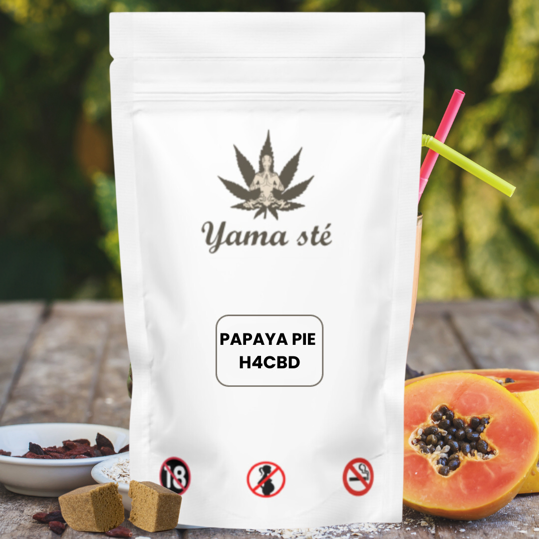 Papaya Pie H4CBD – YAMASTE